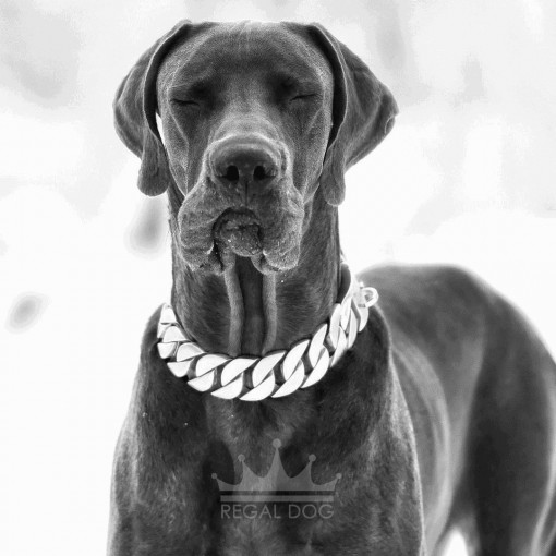 Great Dane XL Matt Silver Dog Chain Collar