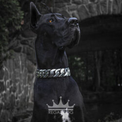 Great Dane XL Silver Dog Chain