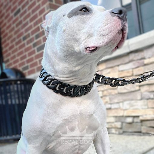 Pitbull XL Gloss Black Dog Chain