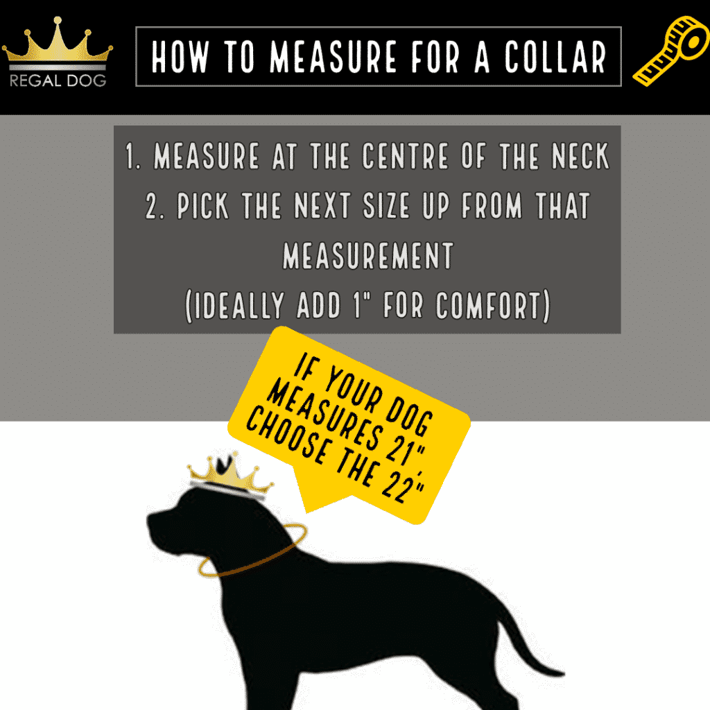 Collar Sizing Guide Regal Dog Luxury Dog Collars