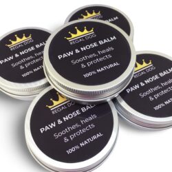 Paw and nose balm for dogs