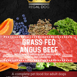 Grain free Complete Dog Food with Beef