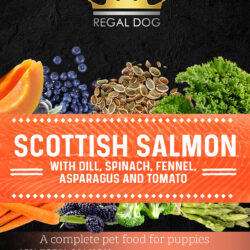 Grain free Complete Dog Food with Salmon