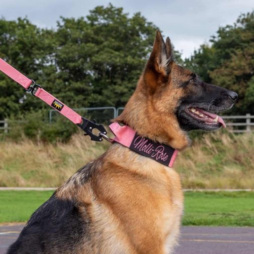 German Shepherd Pink Tactical Dog Collar And Lead
