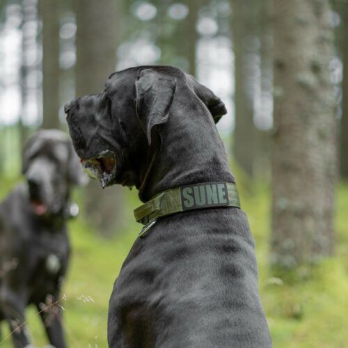 Tactical Collar