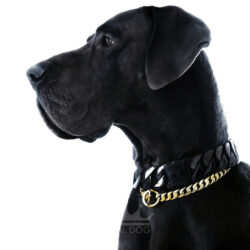 XL Black Dog Chain with Gold Dog necklace