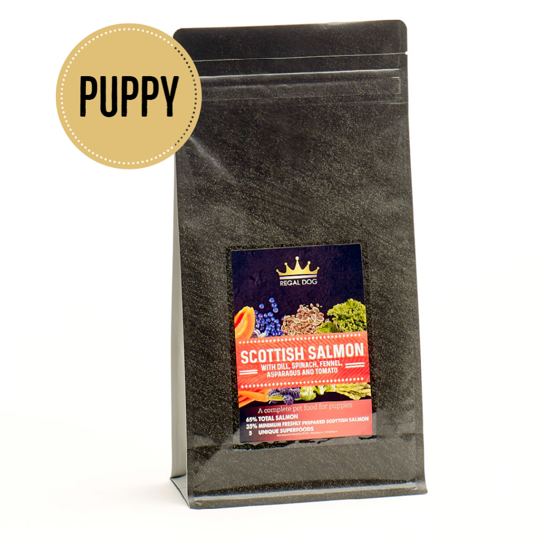 Puppy Grain free Complete Dog Food with Salmon
