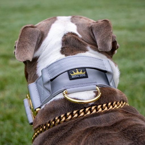 Grey - Gold Series Tactical Dog Collar American Bully