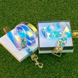 Prism Iridescent Dog collar and lead