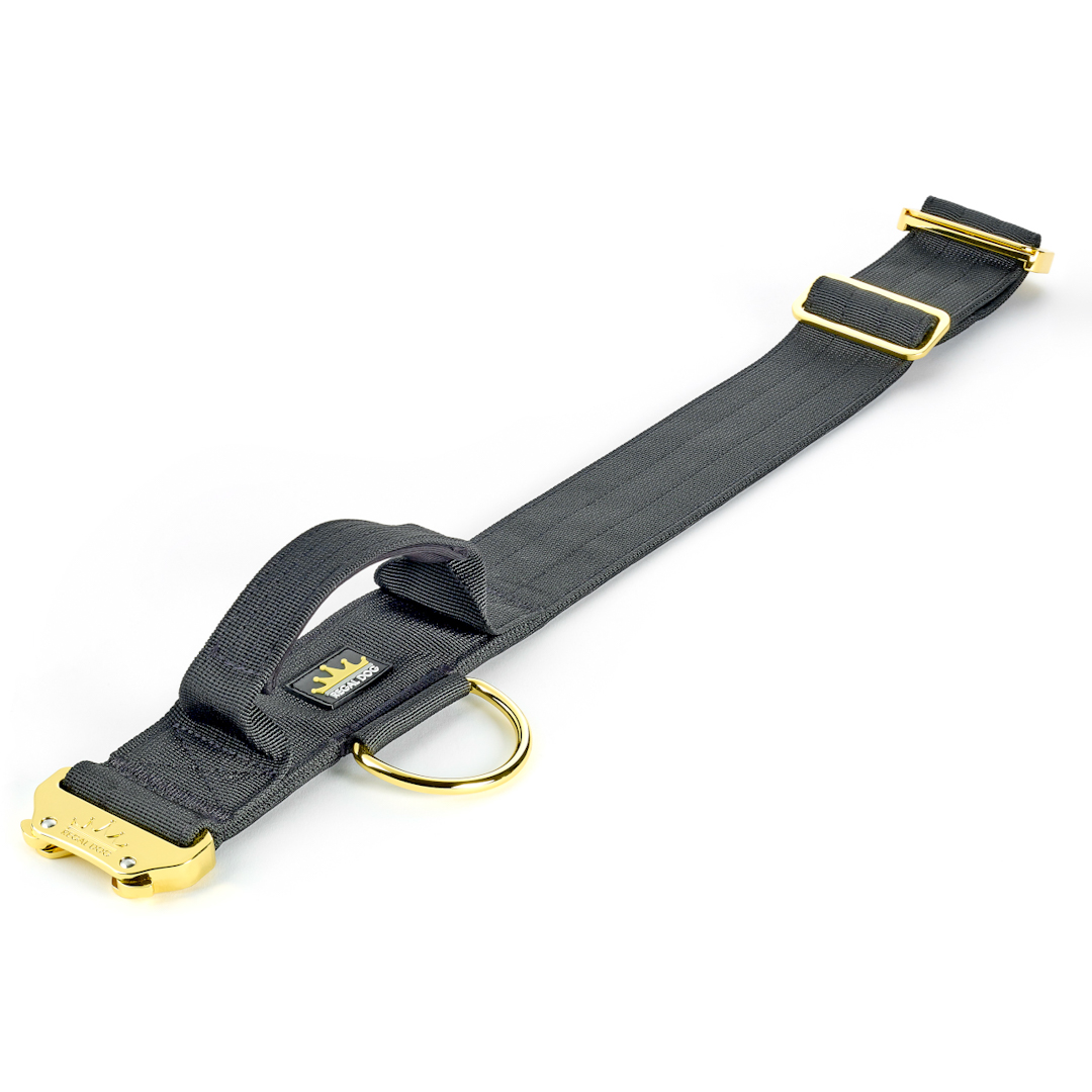 Black and sales gold dog collar