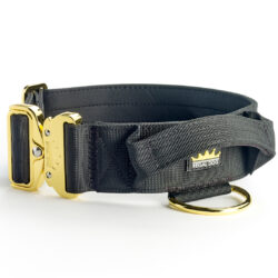Black - Gold Series Collar (5cm)