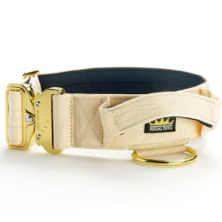 Cream - Gold Series Collar (5cm)