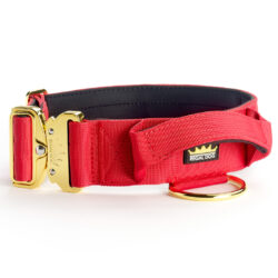 Red Gold Series Tactical Dog Collar