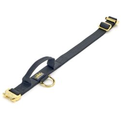 Black - Gold Series Tactical Dog Collar 2.5cm