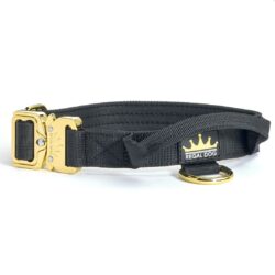 Black - Gold Series Tactical Dog Collar 2.5cm