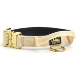 Cream - Gold Series Tactical Dog Collar 2.5cm