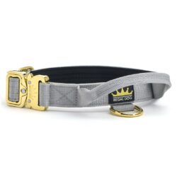Grey - Gold Series Tactical Dog Collar 2.5cm