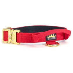 Red - Gold Series Collar (2.5cm)