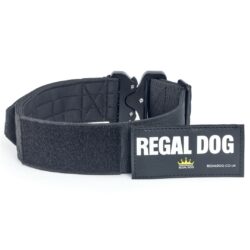 Black Tactical Dog Collar with patch