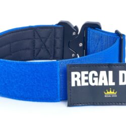 Blue Tactical Dog Collar with patch