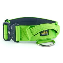 Green Tactical Dog Collar