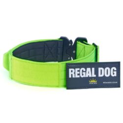 Green Tactical Dog Collar with patch