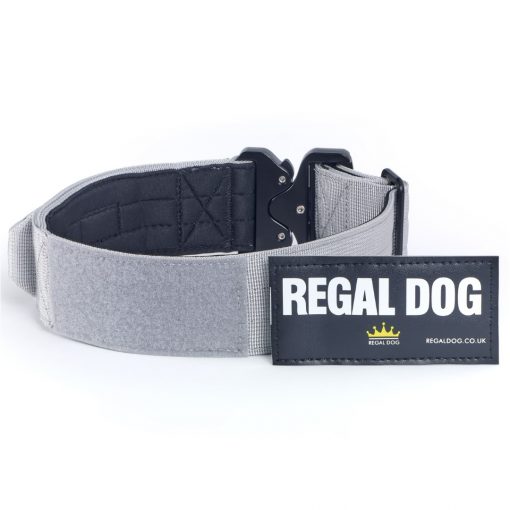 Grey Tactical Dog Collar with patch