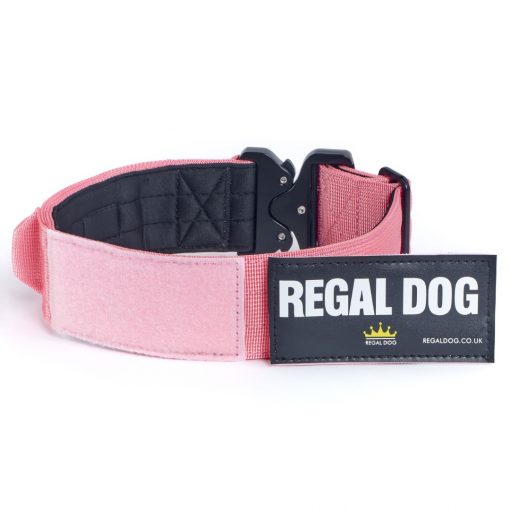 Pink Tactical Dog Collar with patch