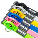 Colourful Tactical Dog Collars