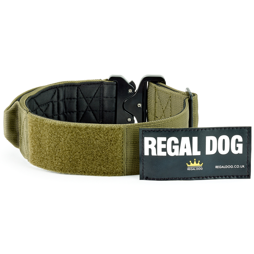 Khaki Tactical Dog Collar with patch
