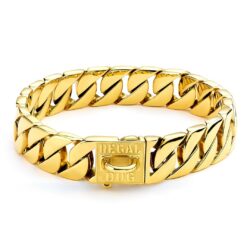 Gold Dog Chain Collar
