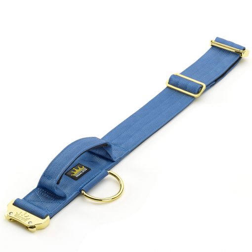 Blue Gold Series Collar 5cm