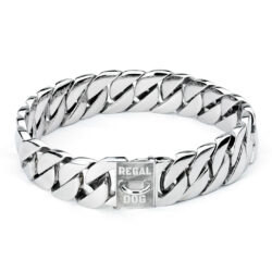 Silver XL Chain Dog Collar