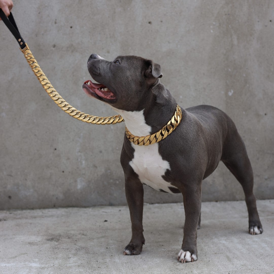 Gold Dog Collar Chain With Steel Buckle Width, Stainless Steel Cuban Link  Slip Chain Training Collar Necklace-f