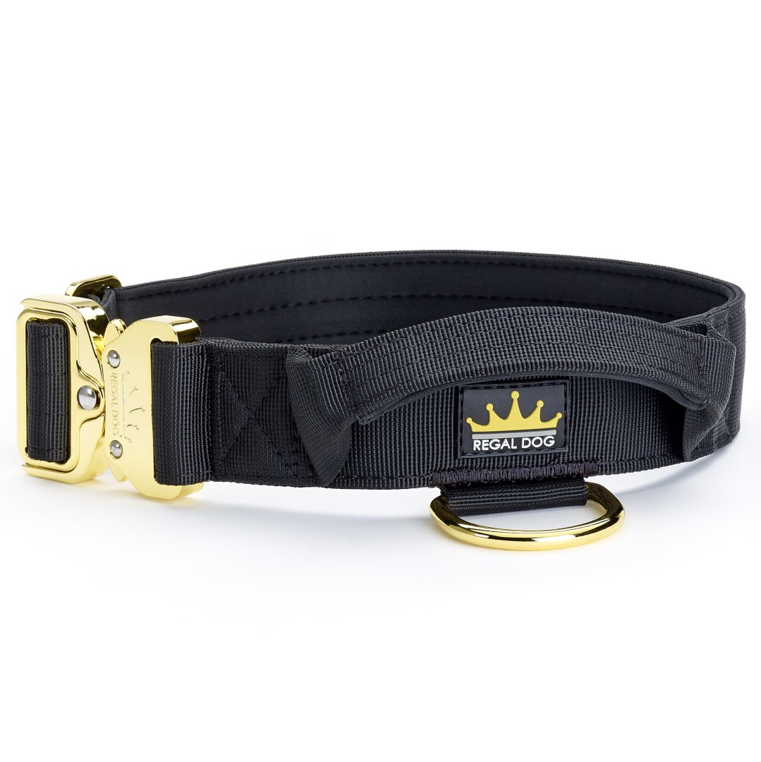Black Dog collar with gold