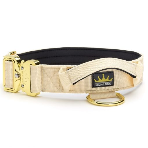 Cream Dog collar with gold
