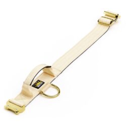 Cream Dog collar with gold