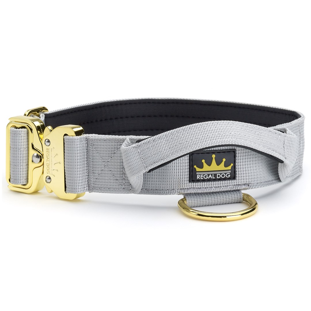 Grey sales puppy collar