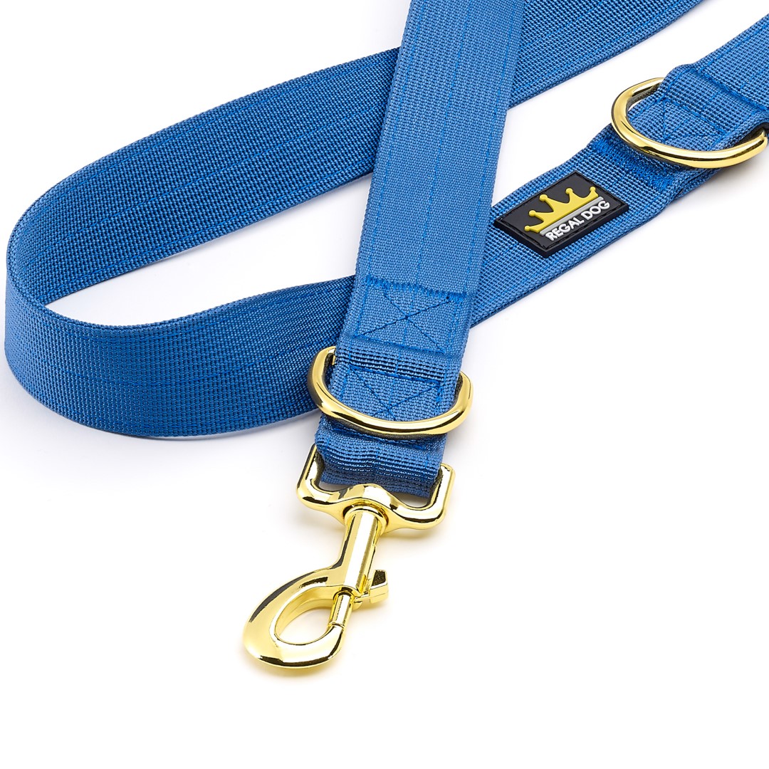 Ocean Blue Gold Series Lead Regal Dog Tactical Dog Lead