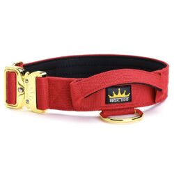 Red Dog collar with gold