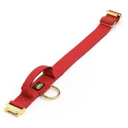 Red Dog collar with gold