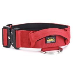 Red Tactical dog collar with removable patch