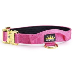 Rose Pink - Gold Series Collar (2.5cm)