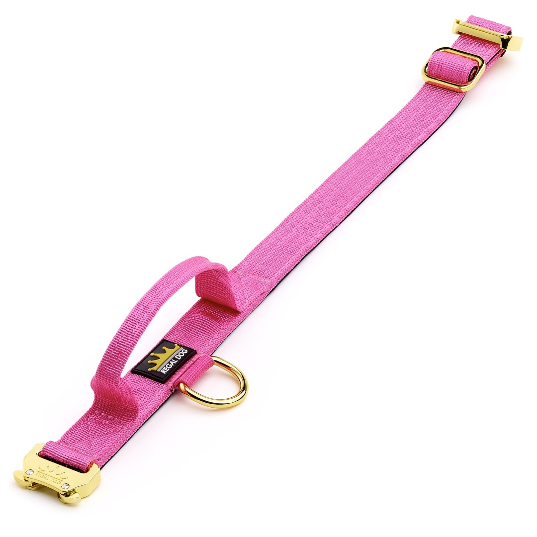Rose gold on sale dog leash
