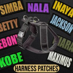 Harness Patches