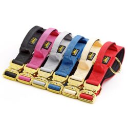 4cm Collars