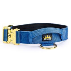 Ocean Blue 4cm Luxury Dog Collar