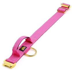 Rose Pink 4cm Gold Series Dog Collar
