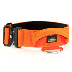 Neon Orange Tactical Collar (5cm)