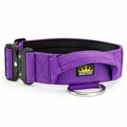 Purple Tactical Collar (5cm)